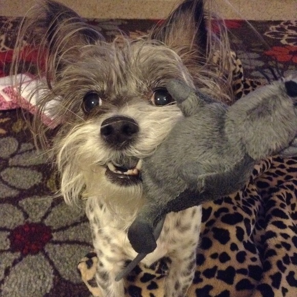 I give free shares for ♥️ - Picture 7 of 9